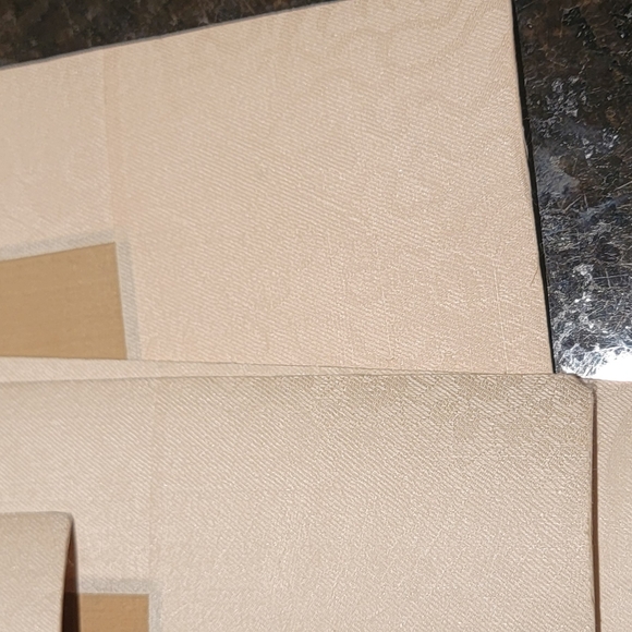 19th Century Chinese Ancestor Portrait - Picture 4 of 6